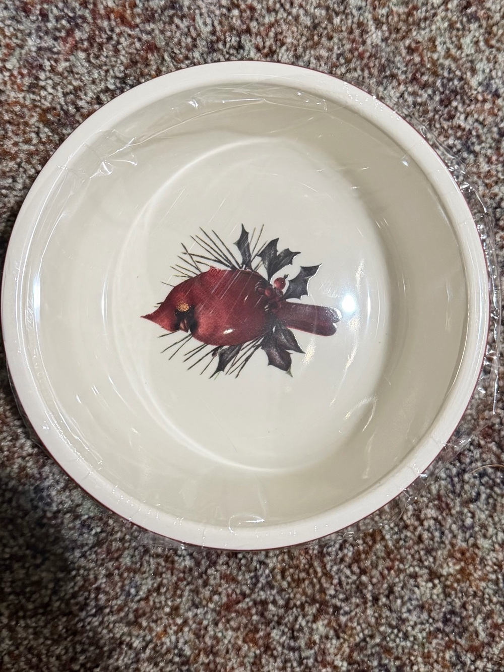 Lenox Winter Greetings Red Cardinal DesignServe & Store with Locking Lid NEW